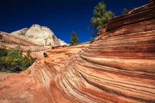 Zion Wave Rock-3959.jpg